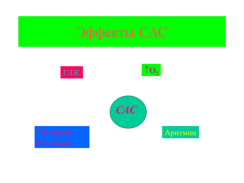 Эффекты САС САС O2 Фиброза миокарда ГЛЖ Аритмии